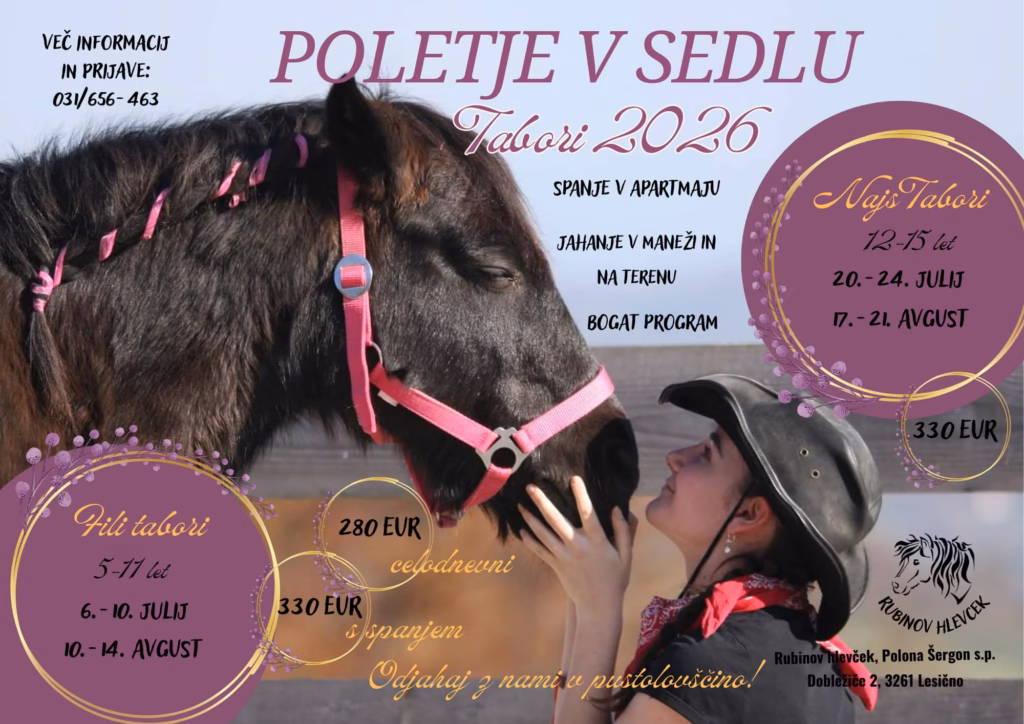 Poletni tabori